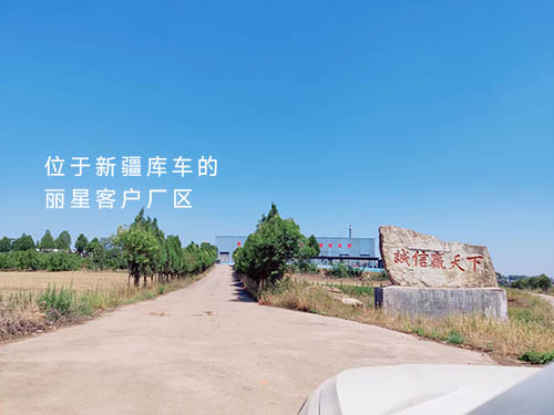 麗星水晶粉絲機廠家 麗星水晶粉絲機廠家