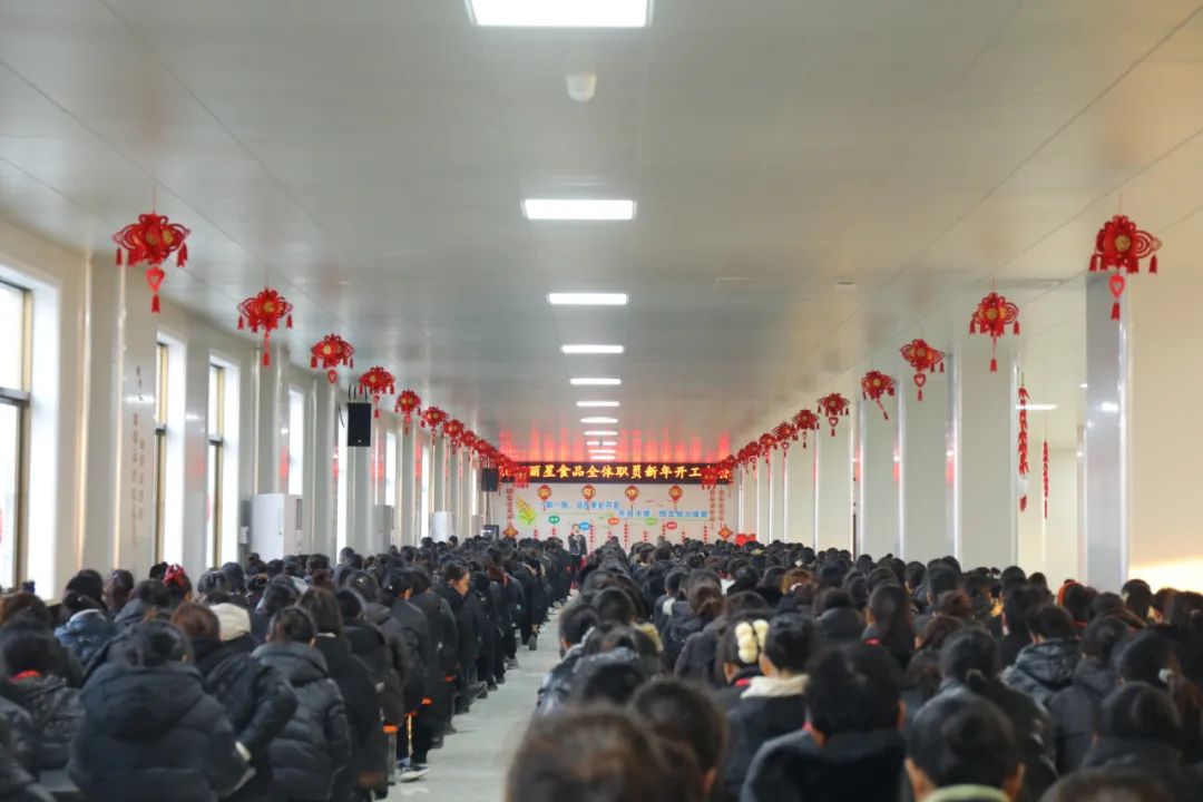 玉兔迎新春，奮進新征程