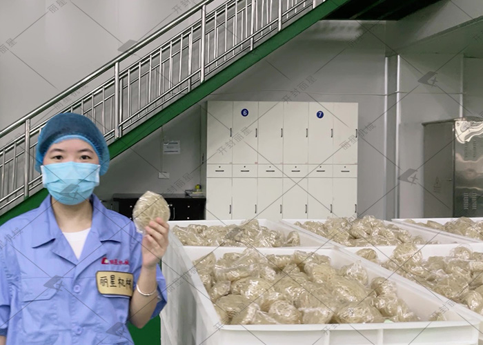 走進酸辣粉生產線，看淀粉如何變身為 Q 彈粉絲