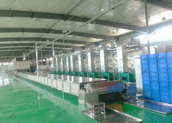 解決粉條易斷問題，從自動(dòng)化設(shè)備真空抽氣工藝開始