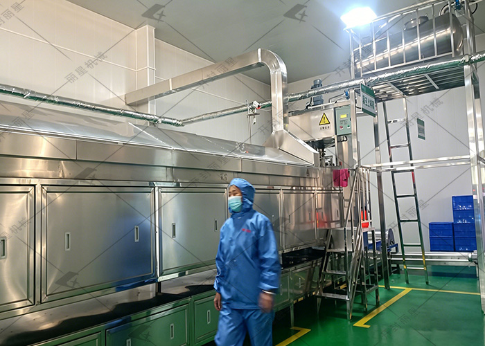 挑選紅薯粉條機辦粉條廠，客戶更關注哪些問題？